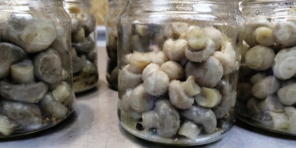 Консервирование грибов в автоклаве — подготовка шампиньонов